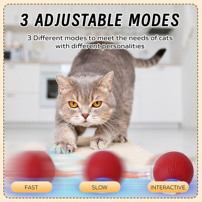 Interactive Cat Toys Ball for Indoor Cats, Cat&Dog Toy，Agile Moving Cat Ball with ElasticMesh Tail,Interactive Cat Toy Ball，Fun Gifts for Cats and Dogs