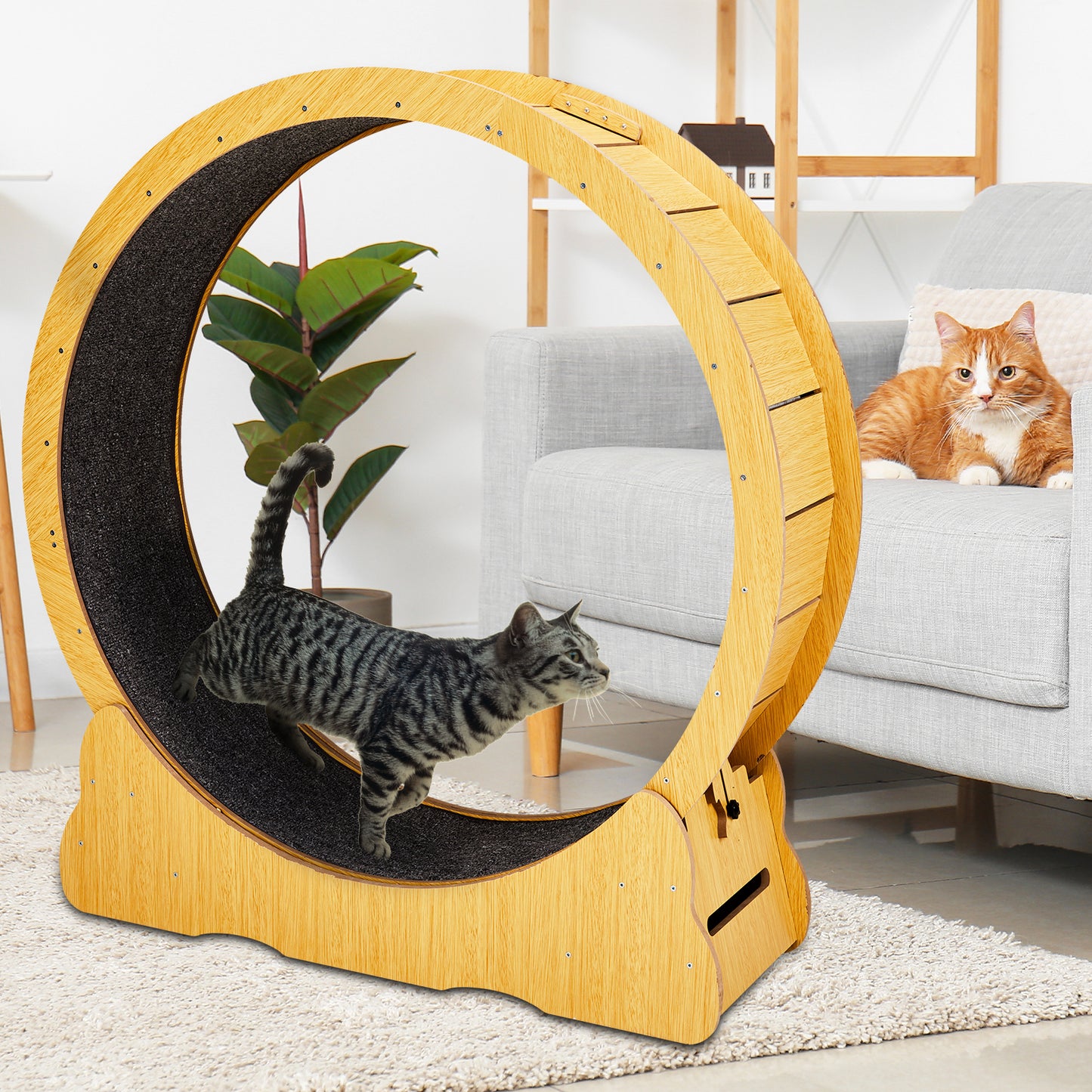 Cat Wheel Exerciser for Indoor Cats, 39.4-inch Large Cat Exercise Wheel for Running Silent, Cat Treadmill with Safety Lock for Cat's Fitness and Health, Natural Wood