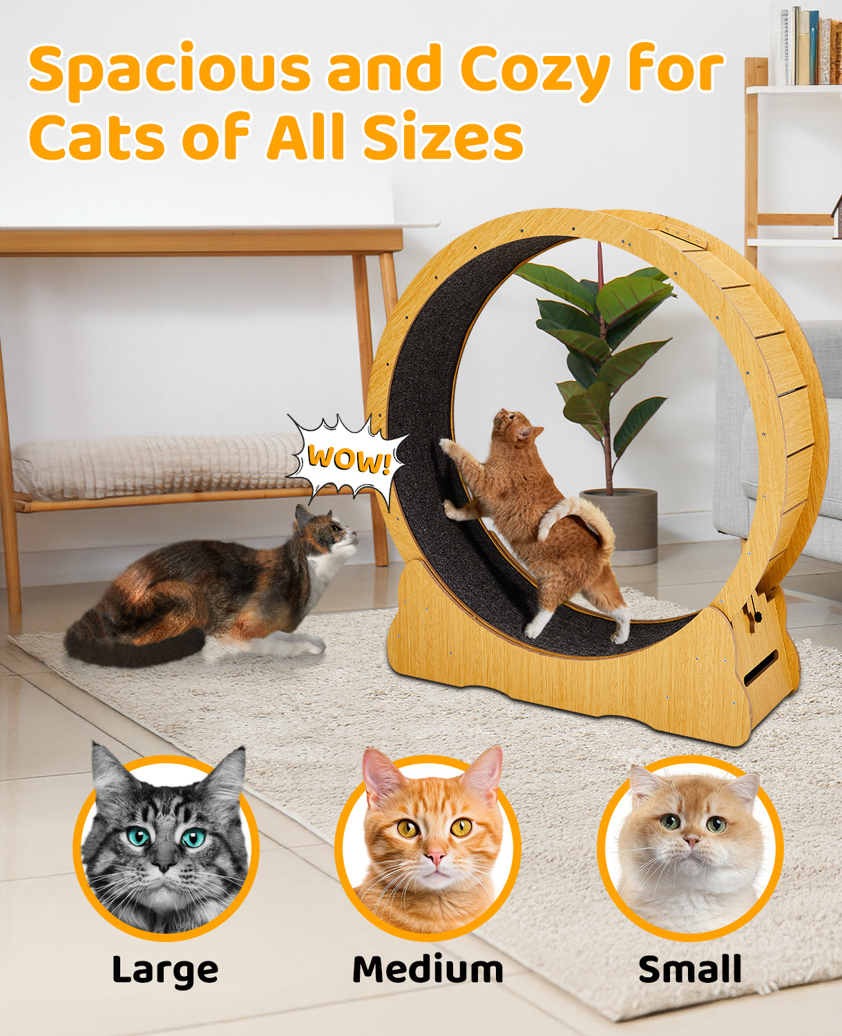 Cat Wheel Exerciser for Indoor Cats, 39.4-inch Large Cat Exercise Wheel for Running Silent, Cat Treadmill with Safety Lock for Cat's Fitness and Health, Natural Wood